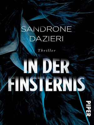 cover image of In der Finsternis